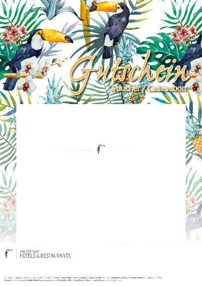Layout 1