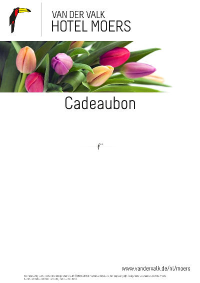 Layout 4