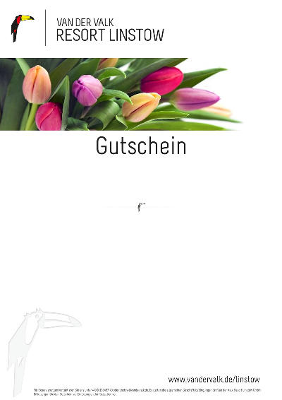 Layout 5