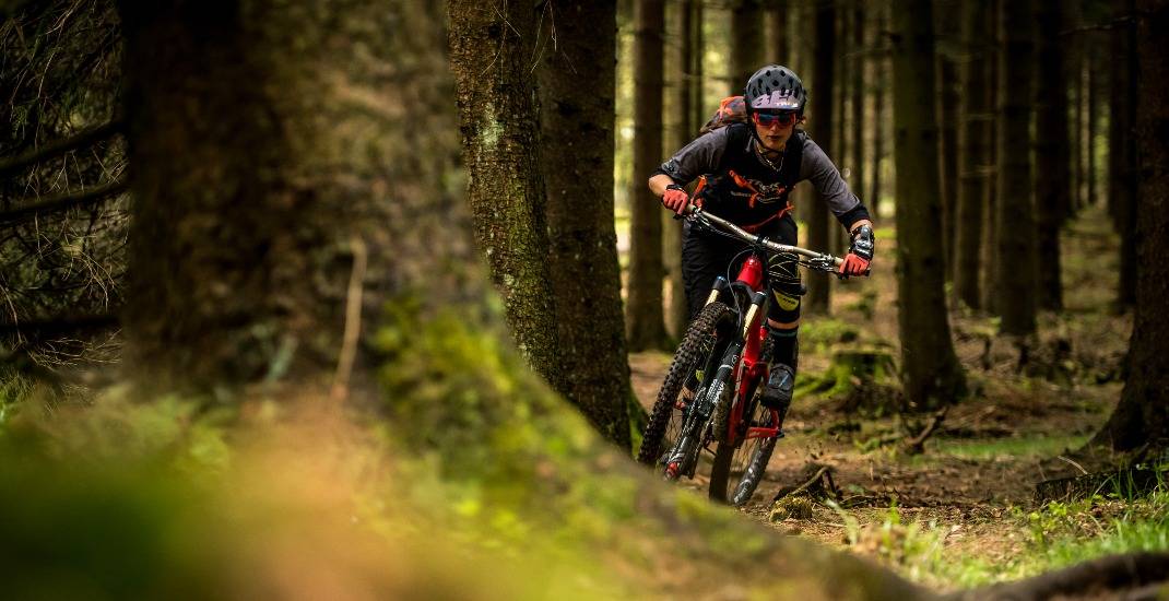 1 Tag E-Mountainbike Fully