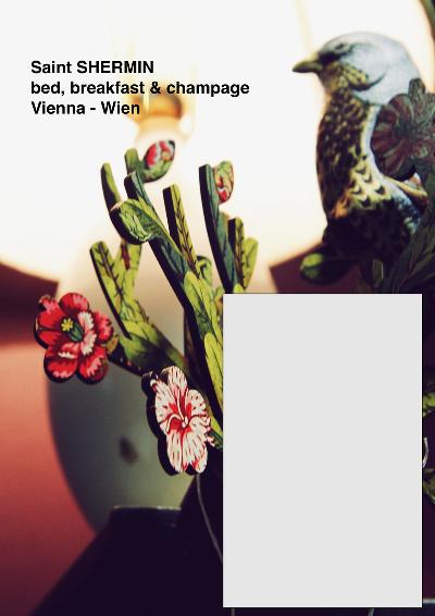 Layout 1
