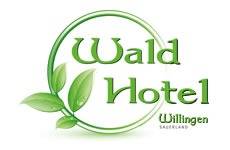 Wald Hotel Willingen Virnich OHG