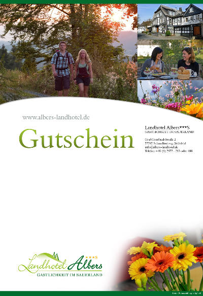 Layout 1