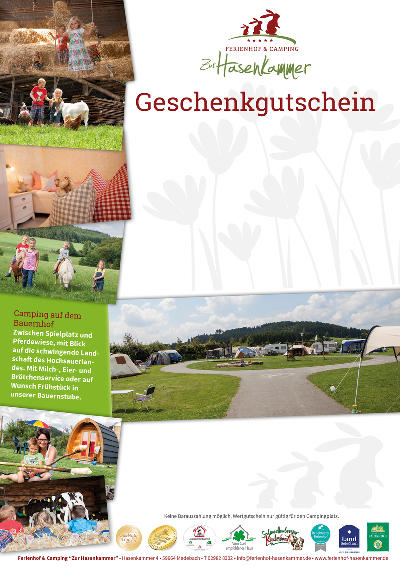 Layout 1