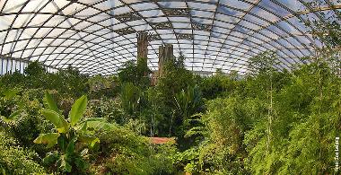 &bdquo;Faszination Gondwanaland im Zoo Leipzig&ldquo; im Atlanta Hotel Leipzig (inkl.) Beherbergungssteuer