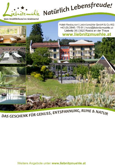 Layout 1