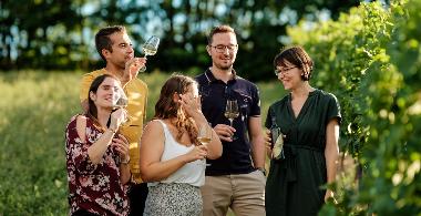 Weingartenwanderung