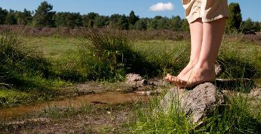Online-Kurs: Gesundheit & Wellness in der Natur