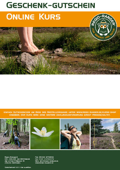 Layout 1