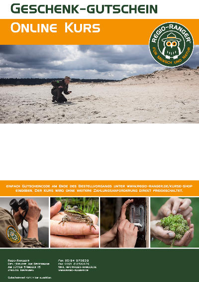 Layout 1
