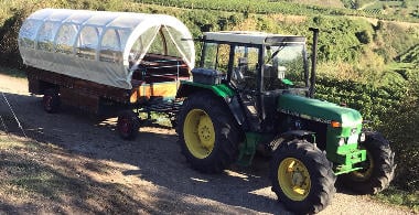 Planwagenfahrt am Kaiserstuhl mit Weinprobe f&uuml;r 2 Personen
