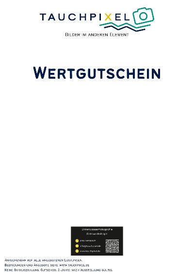 Layout 1