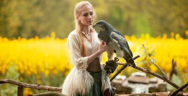 1 Stunde Fotoshooting mit Greifvogel oder Eule