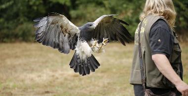 Falkner Seminar