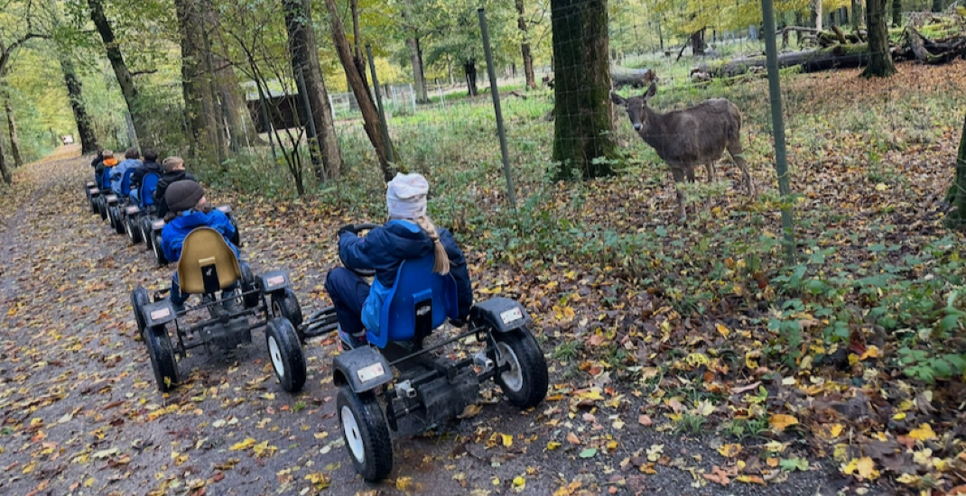 Wertgutschein Pedalkart Erlebnisse
