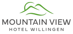 Mountain View Hotel Willingen