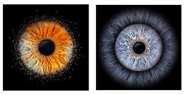 Irisfotografie F&uuml;r eine Person