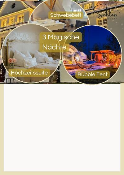 Layout 1