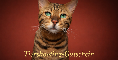 Gutschein &ndash; Tier-Fotoshooting