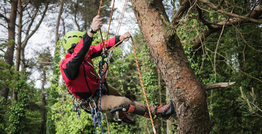 Kletterwald: Einzelticket Erwachsene 3 Std.